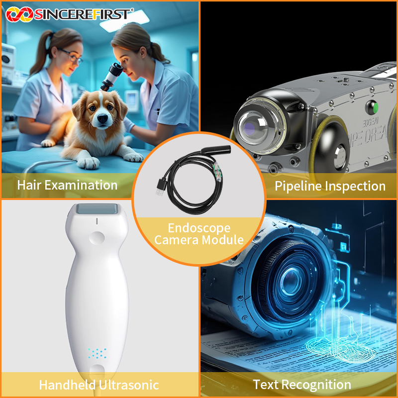 Industrial Medical 5MP Auto-Focus LED Endoscope Camera Module